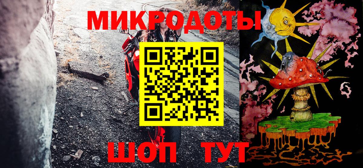 Галлюциногенные грибы Psilocybine cubensis Зеленогорск