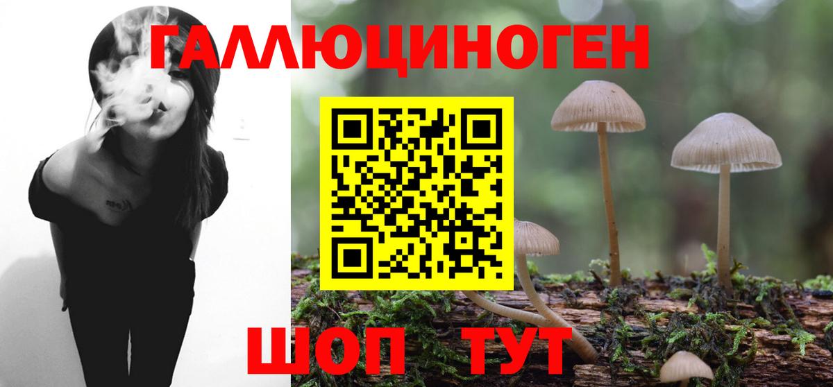 Галлюциногенные грибы Psilocybine cubensis  Галлюциногенные грибы прущие грибы  Вход с VPN  Зеленогорск 