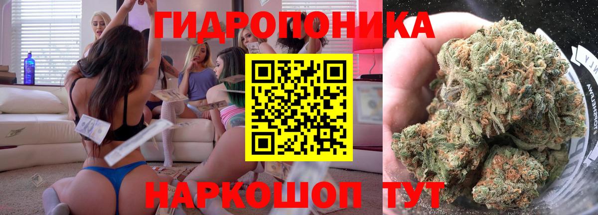 Марихуана марихуана  МАРИХУАНА тримм  Зеленогорск  Бошки марихуана THC 21%  Вход с VPN  МАРИХУАНА OG Kush 